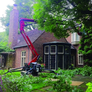 Spider Lift Tree Care Tips
