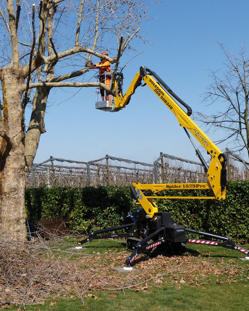 Spider 15.75 aerial lift performing tree trimming operations.