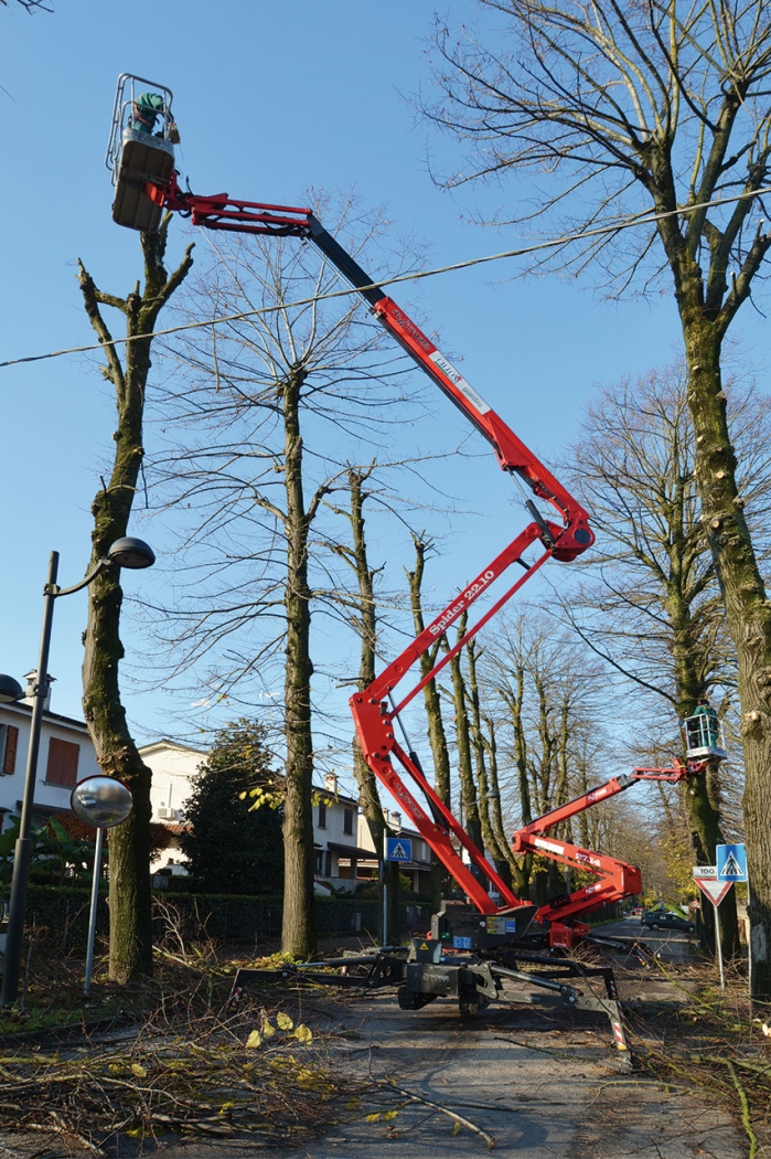 Multiple spider lifts in operation for tree trimming